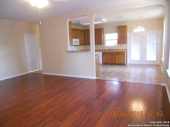 3rd image of 811 Celosia