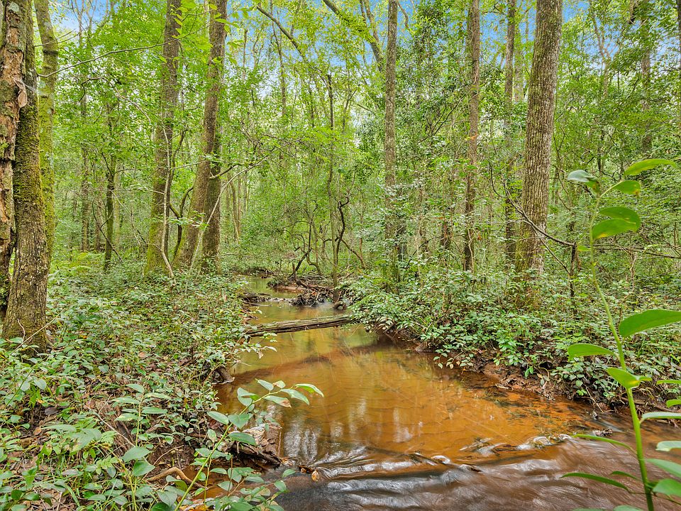 0 State Highway 352, Buena Vista, GA 31803 MLS 10383951 Zillow