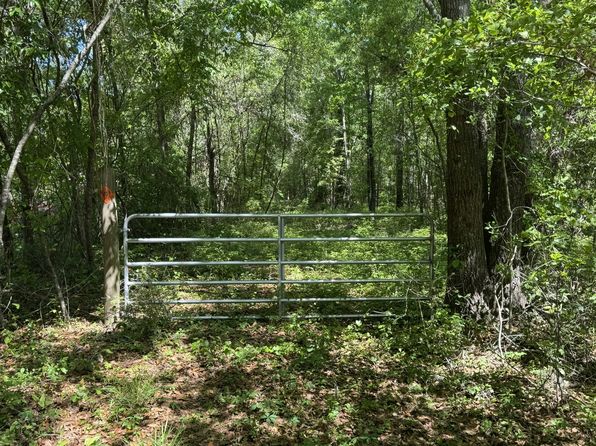 Our Dream Ln, Walterboro, SC 29488