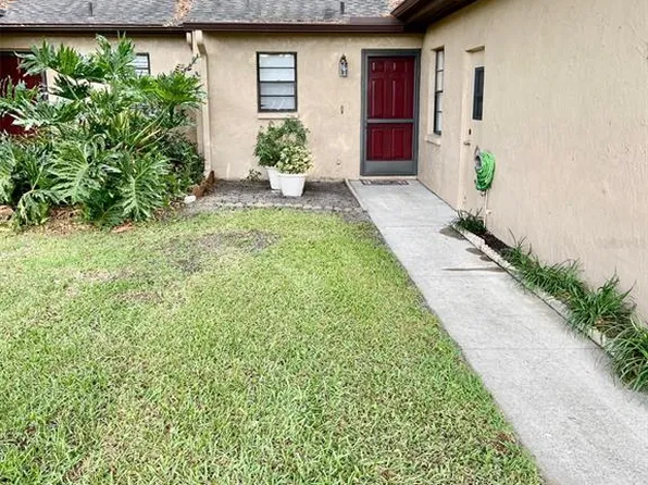 6203 Pina Colada Ct, Tampa, FL 33634