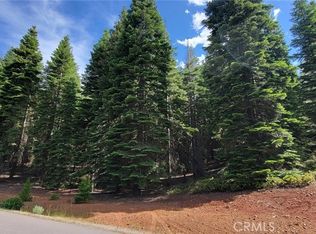 233 Snowy Peak Way #19, Westwood, CA 96137
