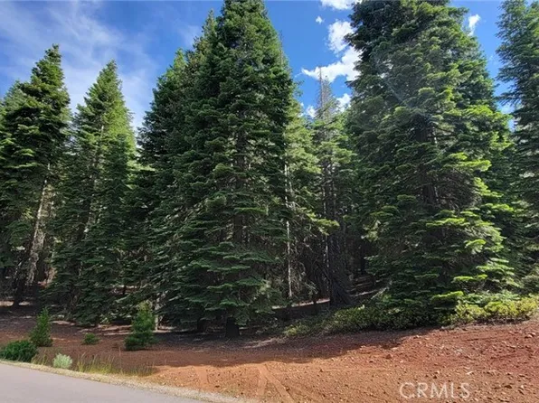 233 Snowy Peak Way #19, Westwood, CA 96137