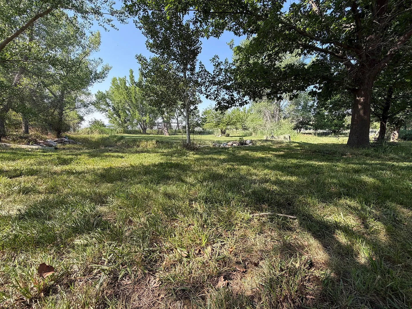 3 bed/2 bath Log cabin on acreage with water rights — Photo 4