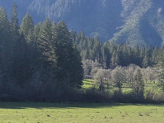3rd image of 3920 Upper Camas Rd
