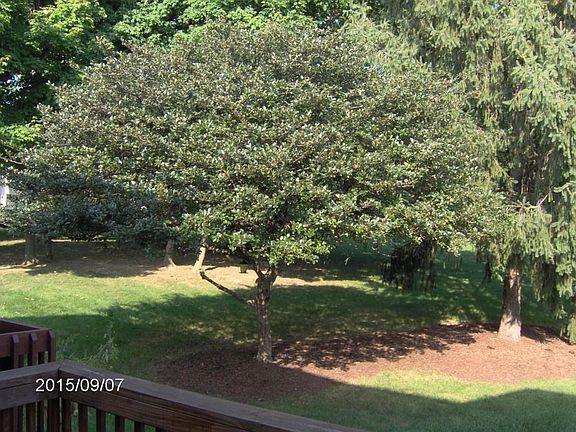 3rd image of 510 W Foxtrail Cres