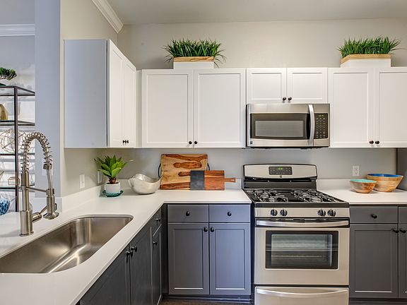 Gourmet kitchens in sophisticated home
