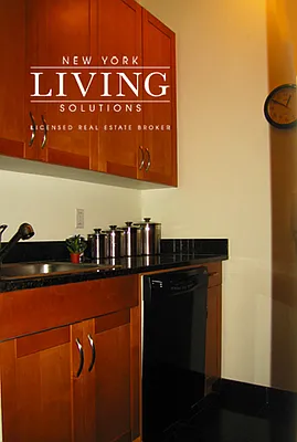 Rented by NY Living Solutions | media 14