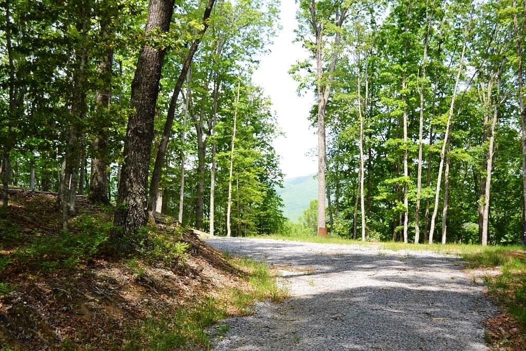 LOT 93 Pine Knoll Ln, Bastian, VA 24314 Zillow