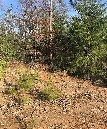 2nd image of 374 Garden Ln
