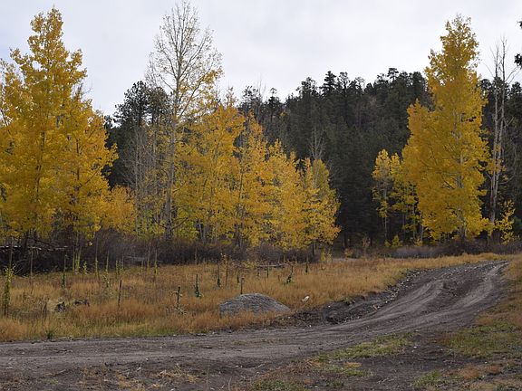 3rd image of 0 Forest Service Rd #450