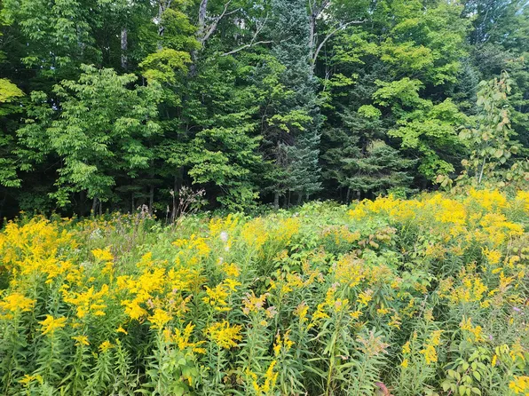 East Ln, Crandon, WI 54520