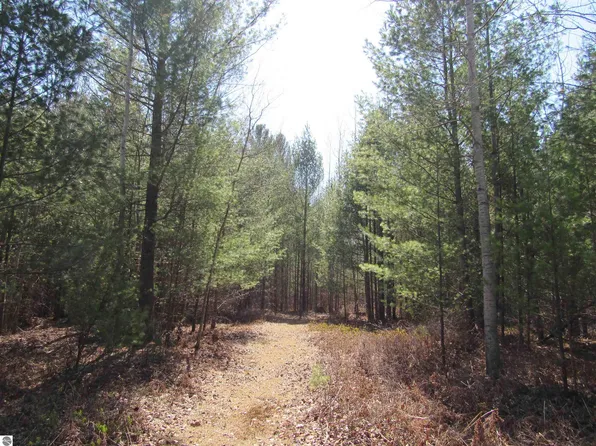 Krumm Rd, Tawas City, MI 48763