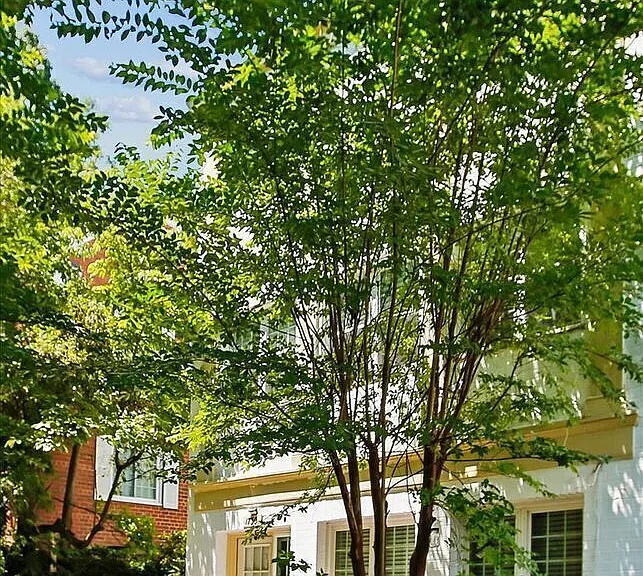 1730 Preston Rd — Photo 3
