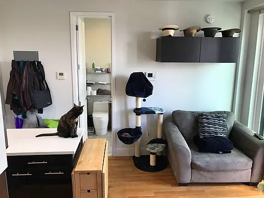 Rented by GTM Property Group  | media 44