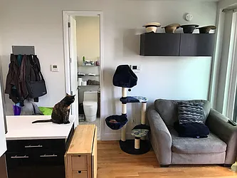 Rented by GTM Property Group 