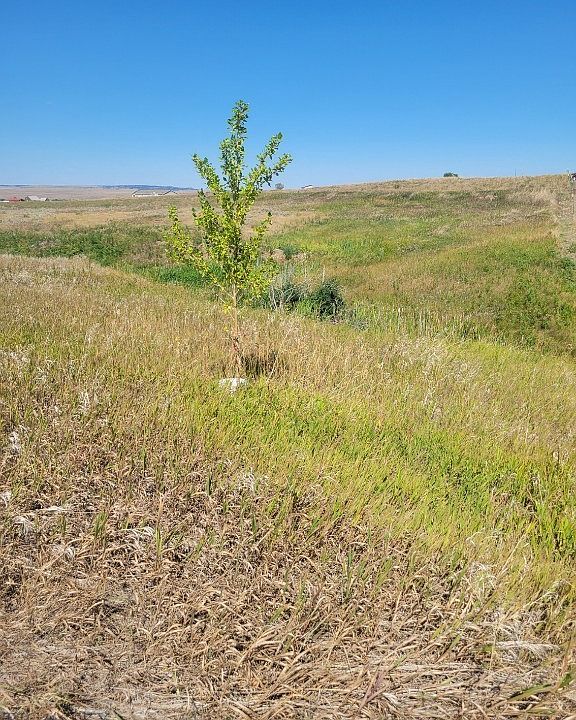1st image of 148 Internet Access Rd