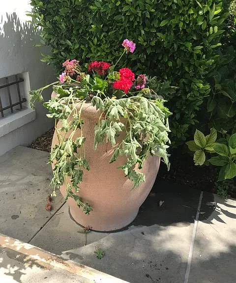 420 S Palm Dr — Photo 16