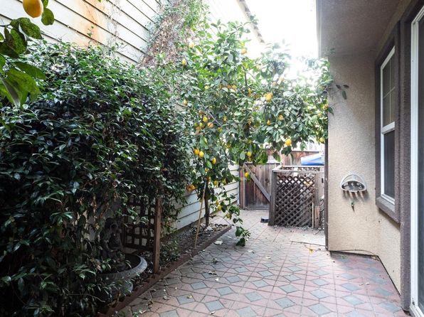 san-jose-california-68968601 picture