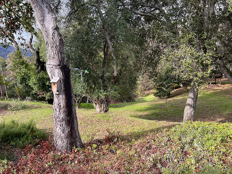 10320 Rolly Rd — Photo 19