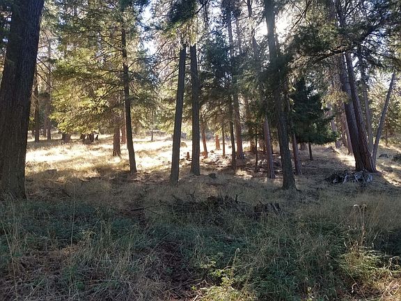 2nd image of Nka Ponderosa Dr
