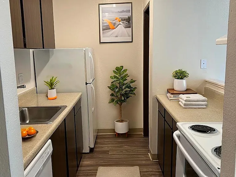1 Bedroom Kitchen