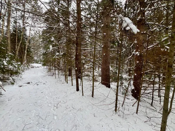 On Hwy #45, Summit Lake, WI 54485