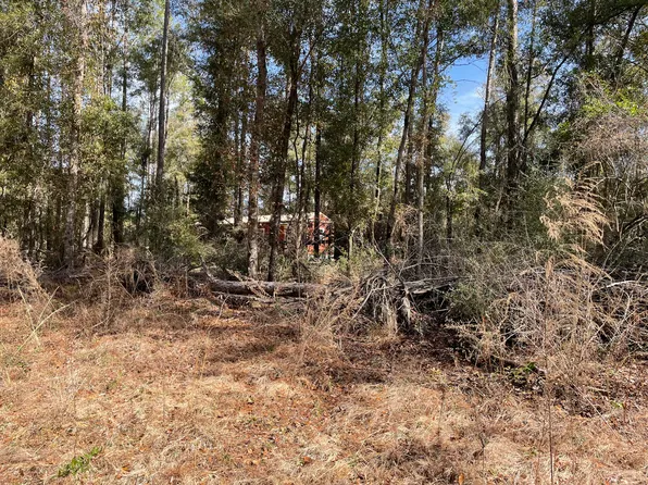 2523 John Marsh Rd, Bonifay, FL 32425