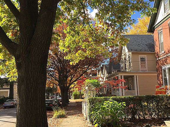 View down River St. in Fall