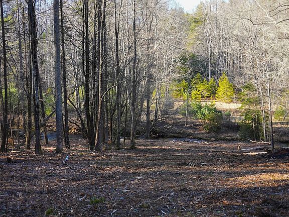 4th image of 1760 Big Creek Rd