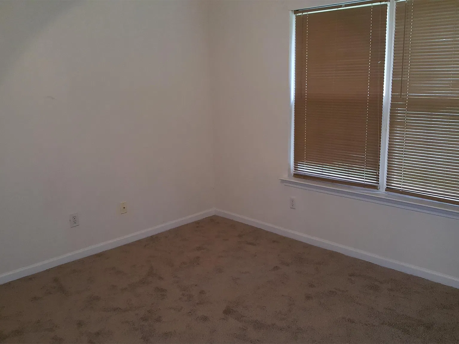3480 Carriage Chase Road - 1 — Photo 4