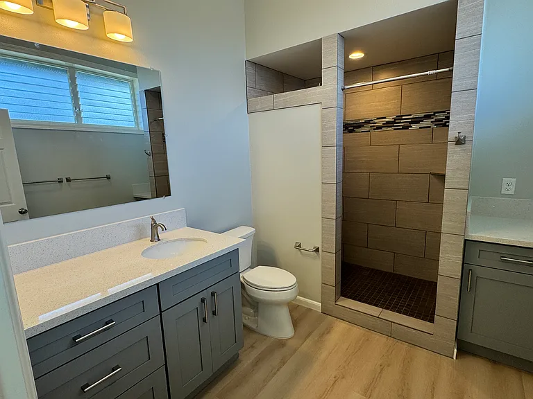 Downstairs Master Bath