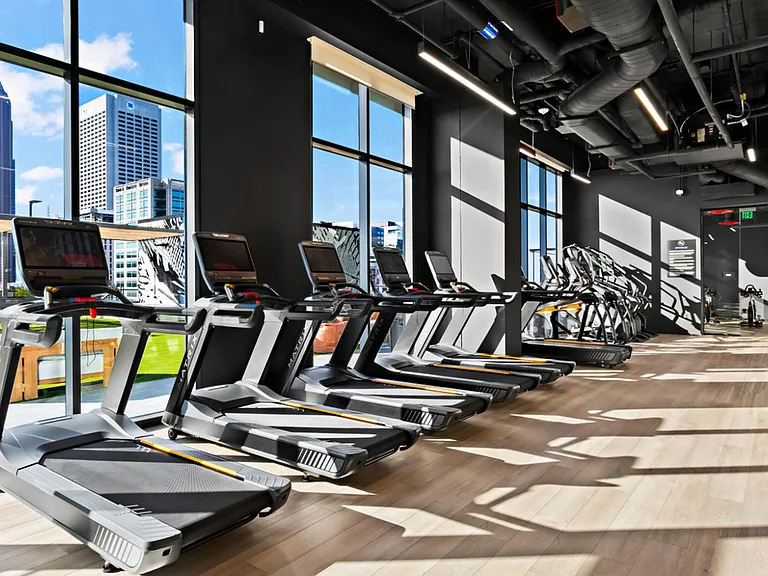 Gym 3