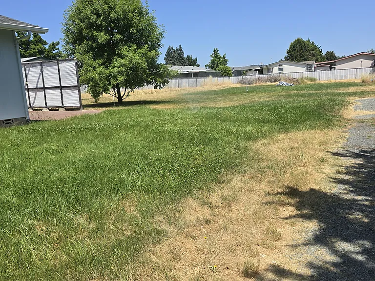 2368 Redwood Ave — Photo 2
