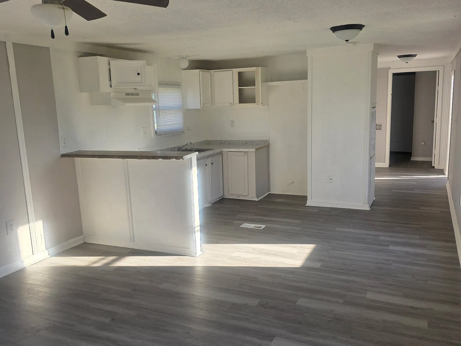 3 bed, 980 sqft, $750 — Photo 3