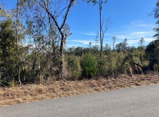 5905 SW 298th St, Newberry, FL 32669