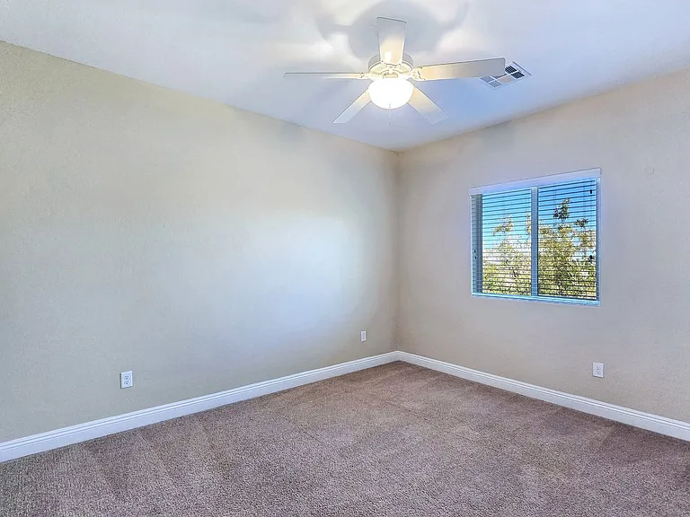 10667 Harvest Green Way — Photo 33
