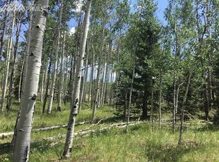 1182 Deerview Dr, Florissant, CO 80816