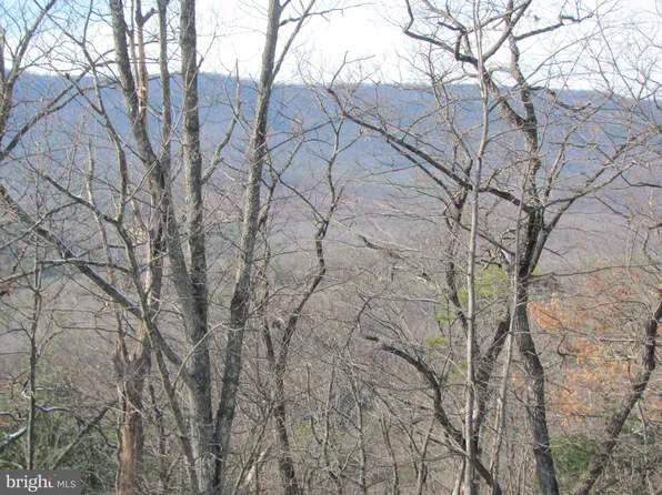 Supinlick Rdg, Mount Jackson, VA 22842