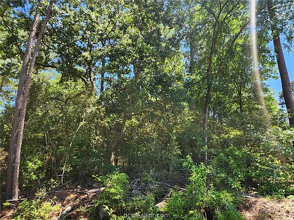 2nd image of LOT 1 Coral Bean Ln