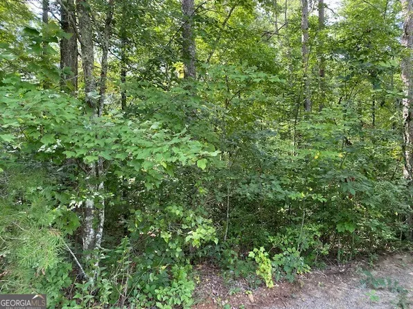 LOT 19 Whippoorwill, Mineral Bluff, GA 30559