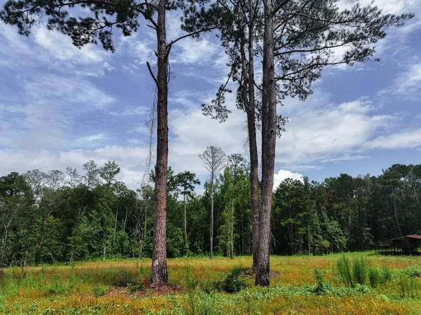 Highway 80, Auburn, AL 36830