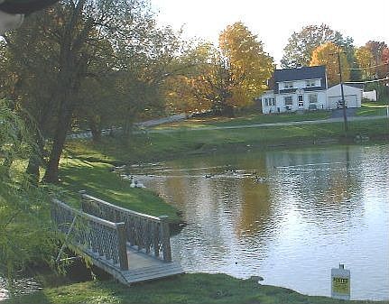 from bridge across the pond - fall