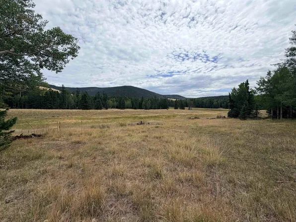 Lot 192 Meadow Glenn, Angel Fire, NM 87710