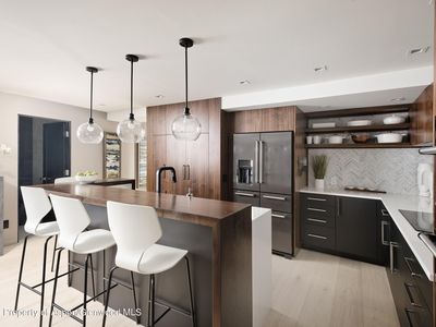 725 E Durant Ave #22, Aspen, CO, 81611