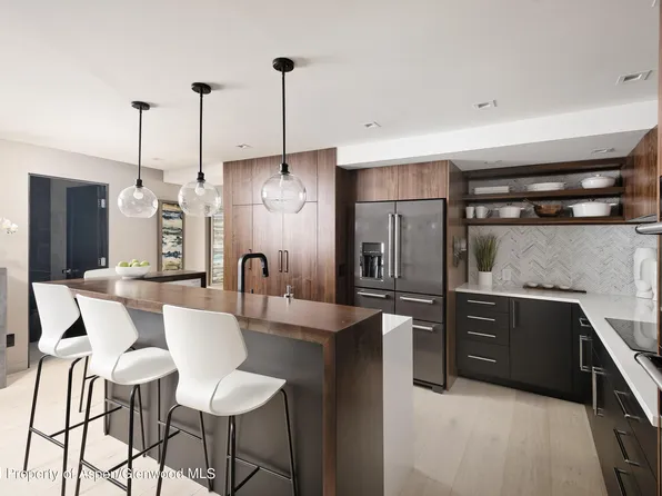 725 E Durant Ave #22, Aspen, CO 81611