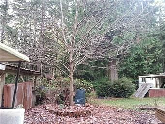 5th image of 3606 174th Ave NW