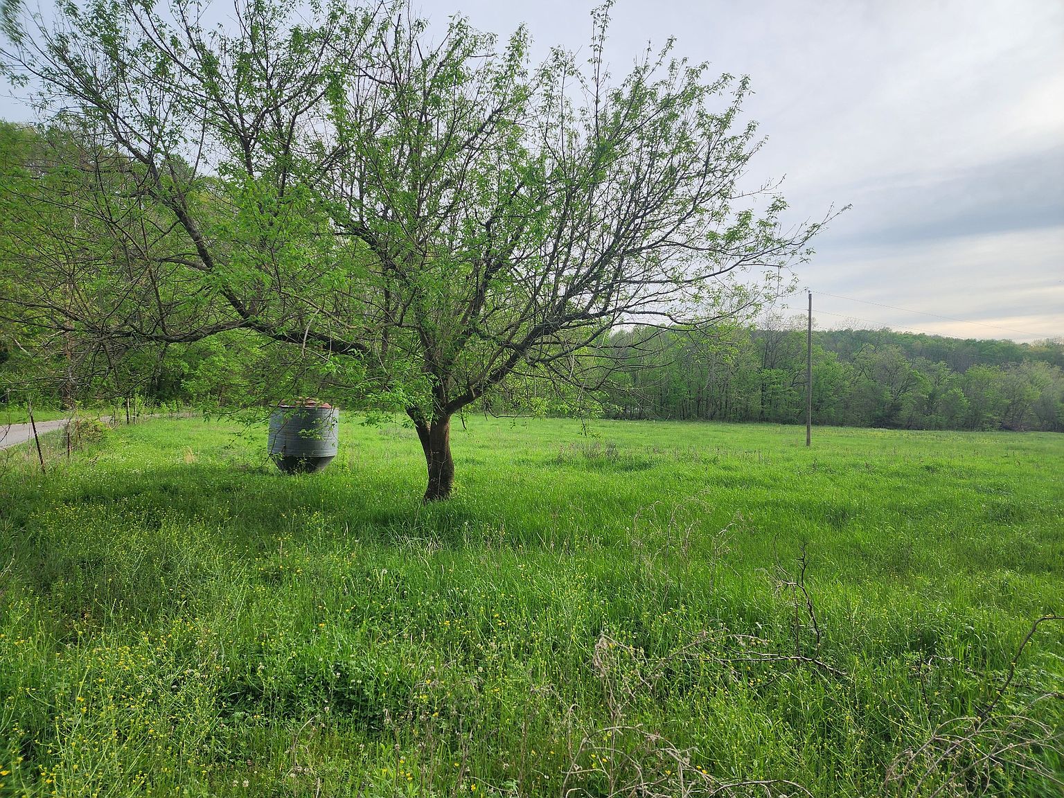 0 Walnut Grove Rd, Waynesboro, TN 38485 | Zillow