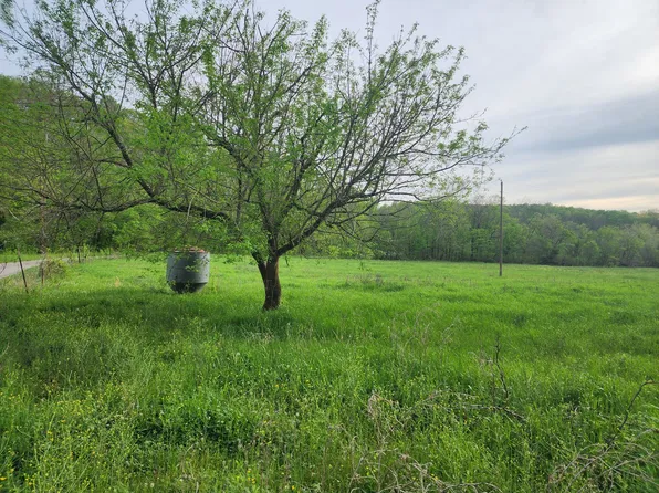 0 Walnut Grove Rd, Waynesboro, TN 38485