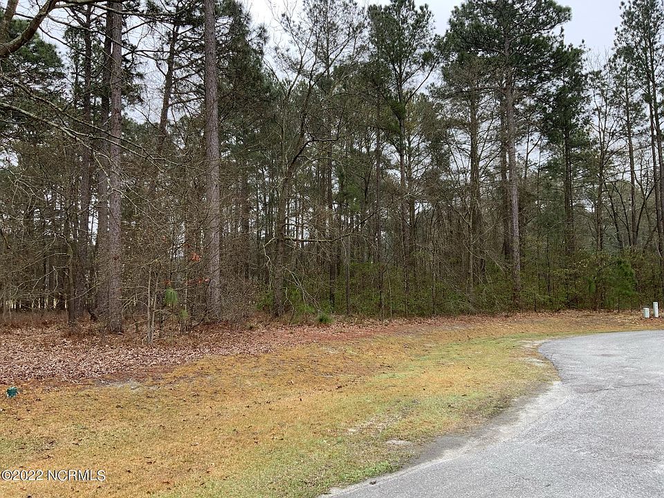 2nd image of 118 Long Leaf Ln Lot 13