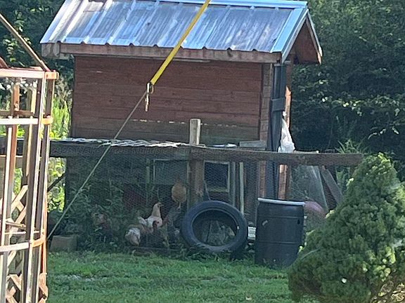3rd image of 199 Atkins Rd